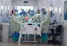 Desmatamento na Amazônia cria cenário ideal para o surgimento de novas pandemias Reprodução - Fiocruz