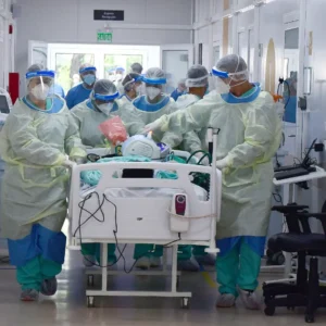 Desmatamento na Amazônia cria cenário ideal para o surgimento de novas pandemias Reprodução - Fiocruz