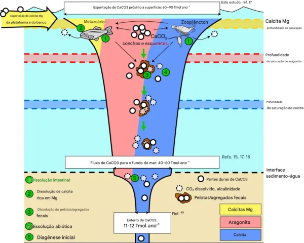 Risco relativamente baixo incluem a adição de minerais carbonáticos à água do mar