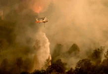El mundo se incendia al mismo tiempo: los días de riesgo extremo ya se duplicaron Um helicóptero combatendo incêndios florestais na área de Aetna Springs, no condado de Napa, Califórnia