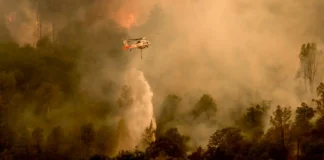 Sincronia crescente e extremas relacionadas a incêndios em todo o mundo Um helicóptero combatendo incêndios florestais na área de Aetna Springs, no condado de Napa, Califórnia