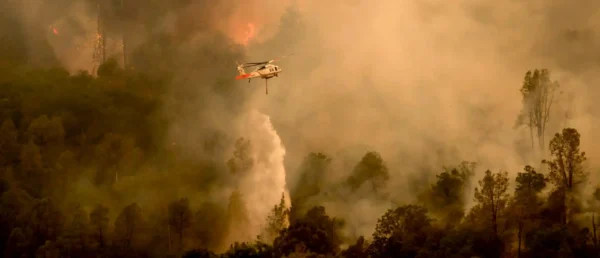 El mundo se incendia al mismo tiempo: los días de riesgo extremo ya se duplicaron