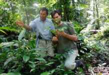 Povos indígenas lideram revolução no registro de saberes tradicionais