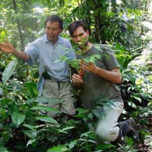 Povos indígenas lideram revolução no registro de saberes tradicionais