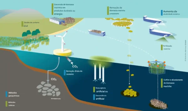 Visão geral esquemática dos métodos de remoção de dióxido de carbono marinho (mCDR) 