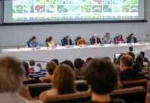 Arco do desmatamento começa transição para se tornar Arco da Restauração Foto: Augusto Coelho/CNI