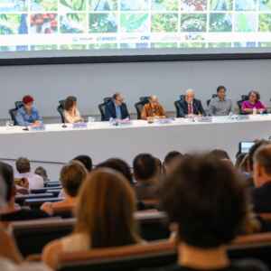 Arco do desmatamento começa transição para se tornar Arco da Restauração Foto: Augusto Coelho/CNI