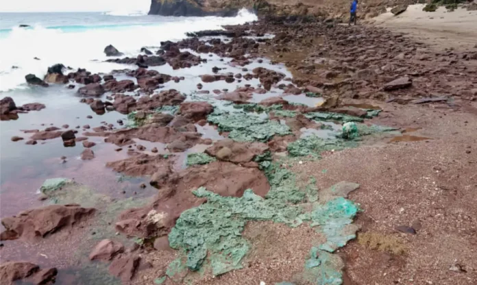 Foto: Fernanda Avelar Santos/Divulgação