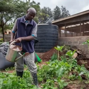 Como o lixo orgânico virou a nova riqueza das comunidades rurais paraenses Como o lixo orgânico virou a nova riqueza das comunidades rurais paraenses