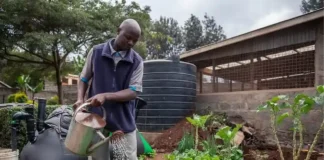 Como o lixo orgânico virou a nova riqueza das comunidades rurais paraenses Como o lixo orgânico virou a nova riqueza das comunidades rurais paraenses