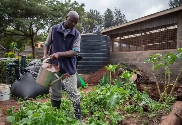 Como o lixo orgânico virou a nova riqueza das comunidades rurais paraenses