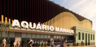 Além da vitrine: o papel científico do novo aquário municipal de Manaus Divulgação - Gov. Manaus