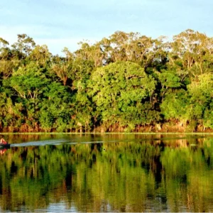 Proteção do SAGA exige novos acordos geopolíticos na América do Sul Crédito: Flickr/Andre Deak