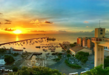 Cidades litorâneas do Brasil descobrem poder do carbono azul contra o aquecimento