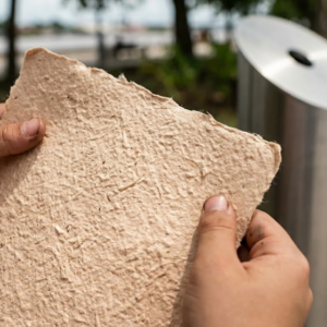 Da cinza ao caderno a tecnologia brasileira que limpa o planeta transformando bitucas em papel