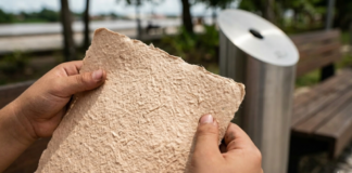 Da cinza ao caderno a tecnologia brasileira que limpa o planeta transformando bitucas em papel