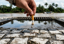 O perigo invisível das bitucas de cigarro que poluem as águas e ameaçam a saúde