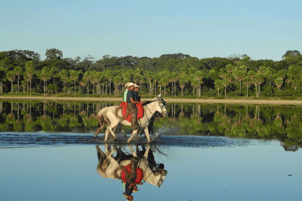 Reprdução - agro.estadao