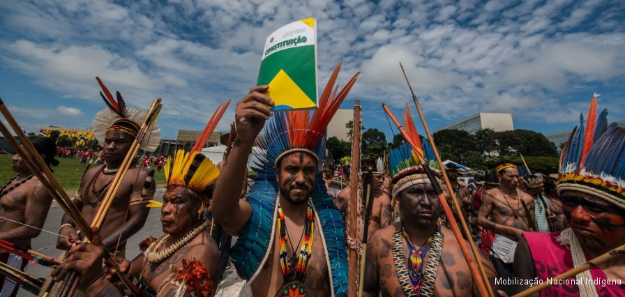 constituicaomineracao mni