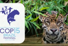 Campo Grande sedia conferência da ONU sobre espécies migratórias em março