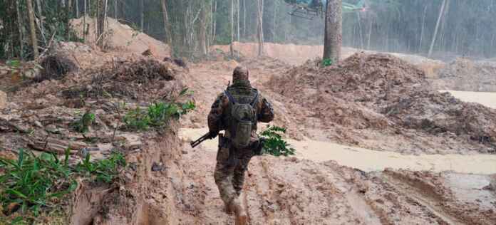 Foto: Fiscalização/Ibama