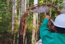 Eco Invest Brasil destina 25% de recursos para turismo sustentável na Amazônia Reprodução - Portal da Sustentabilidade