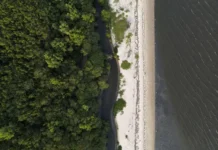 Alargamento de praias: especialistas alertam para riscos de afogamento e ondas alteradas Foto: Agência Brasil