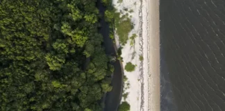 Alargamento de praias: especialistas alertam para riscos de afogamento e ondas alteradas Foto: Agência Brasil