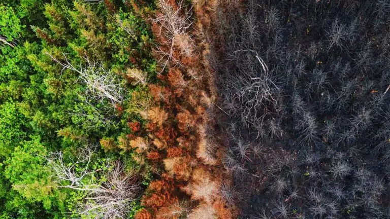 Crédito: Fast Company Brasil