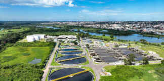 A cidade que cura: como áreas verdes urbanas transformam saúde e planejamento Foto: Sanepar