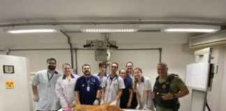 Rio de Janeiro lança REAFS e investe R$ 100 milhões em rede para fauna silvestre Foto: Grupo Integrado