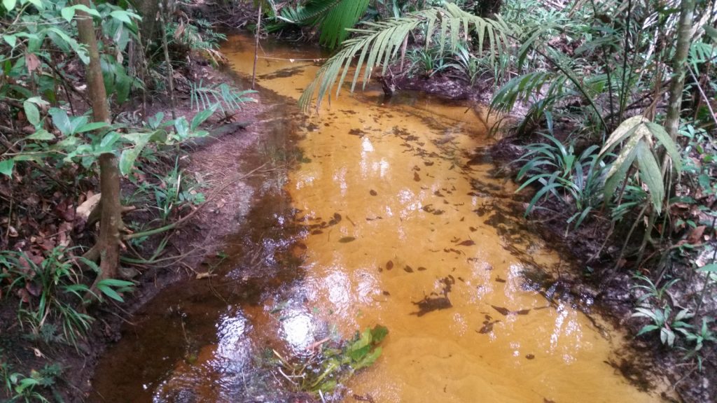 Foto: Divulgação/Acervo Sávio Ferreira