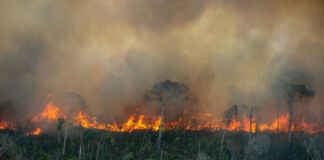 Mudança climática e queimadas deslocam nuvem de fumaça para o leste da Amazônia Reprodução - Amazônia Real