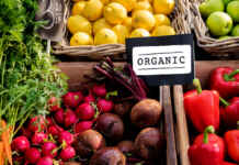 Certificação orgânica avança com digitalização e crédito rural Reprodução - Cobrava