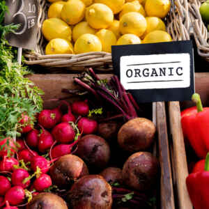 Certificação orgânica avança com digitalização e crédito rural Reprodução - Cobrava