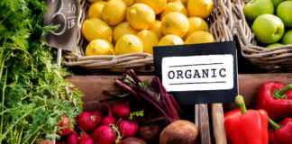 Certificação orgânica avança com digitalização e crédito rural Reprodução - Cobrava