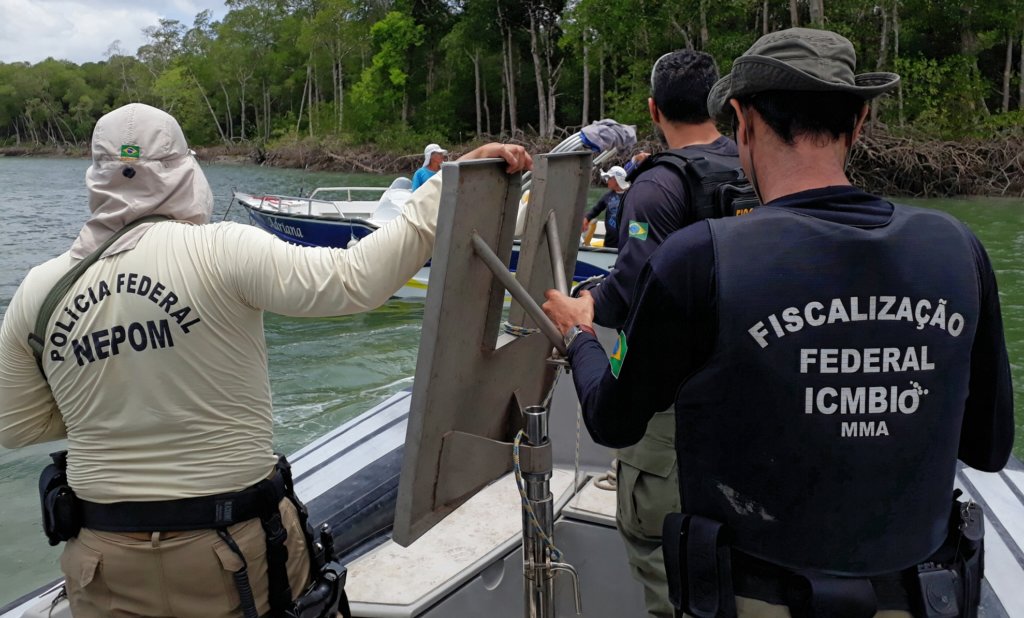 Onça-pintada transforma economia e conservação no Pantanal 1 Reprodução