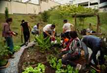 Permacultura urbana transforma condomínios em ecossistemas vivos e produtivos Reprodução - lellocondominios