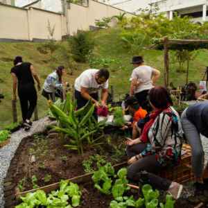 Permacultura urbana transforma condomínios em ecossistemas vivos e produtivos Reprodução - lellocondominios