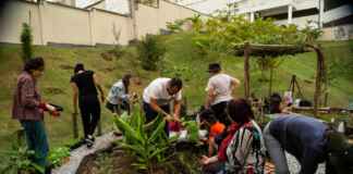 Permacultura urbana transforma condomínios em ecossistemas vivos e produtivos Reprodução - lellocondominios