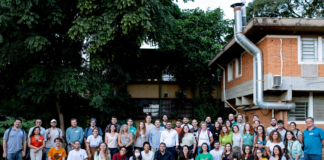 O fôlego renovado da Mata Atlântica em uma década de avanços.