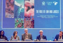 Decisão histórica na cop15 coloca o pantanal no centro do judiciário Foto: Rafa Neddermeyer/Agência Brasil