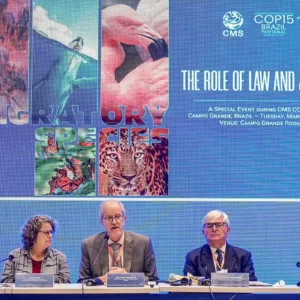 Decisão histórica na cop15 coloca o pantanal no centro do judiciário Foto: Rafa Neddermeyer/Agência Brasil