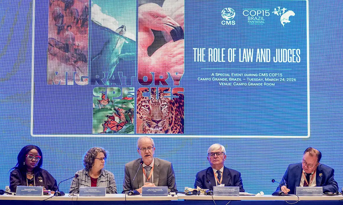 Foto: Rafa Neddermeyer/Agência Brasil