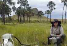 Estudo revela que áreas úmidas do Cerrado estocam mais carbono que a Amazônia Foto: Rafael Oliveira/Unicamp