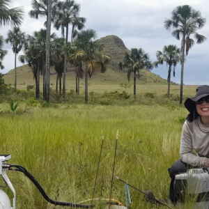 Estudo revela que áreas úmidas do Cerrado estocam mais carbono que a Amazônia Foto: Rafael Oliveira/Unicamp