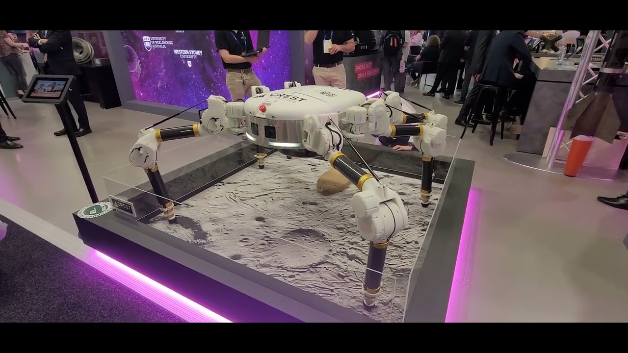 Reprodução - O Antagonista