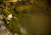 Capitais reagem para salvar nascentes soterradas