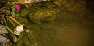 Capitais reagem para salvar nascentes soterradas