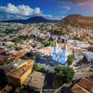 Plantas “comedoras” de metal: como o feijão-de-porco limpa solos contaminados por chumbo Foto: Júlio de Freitas